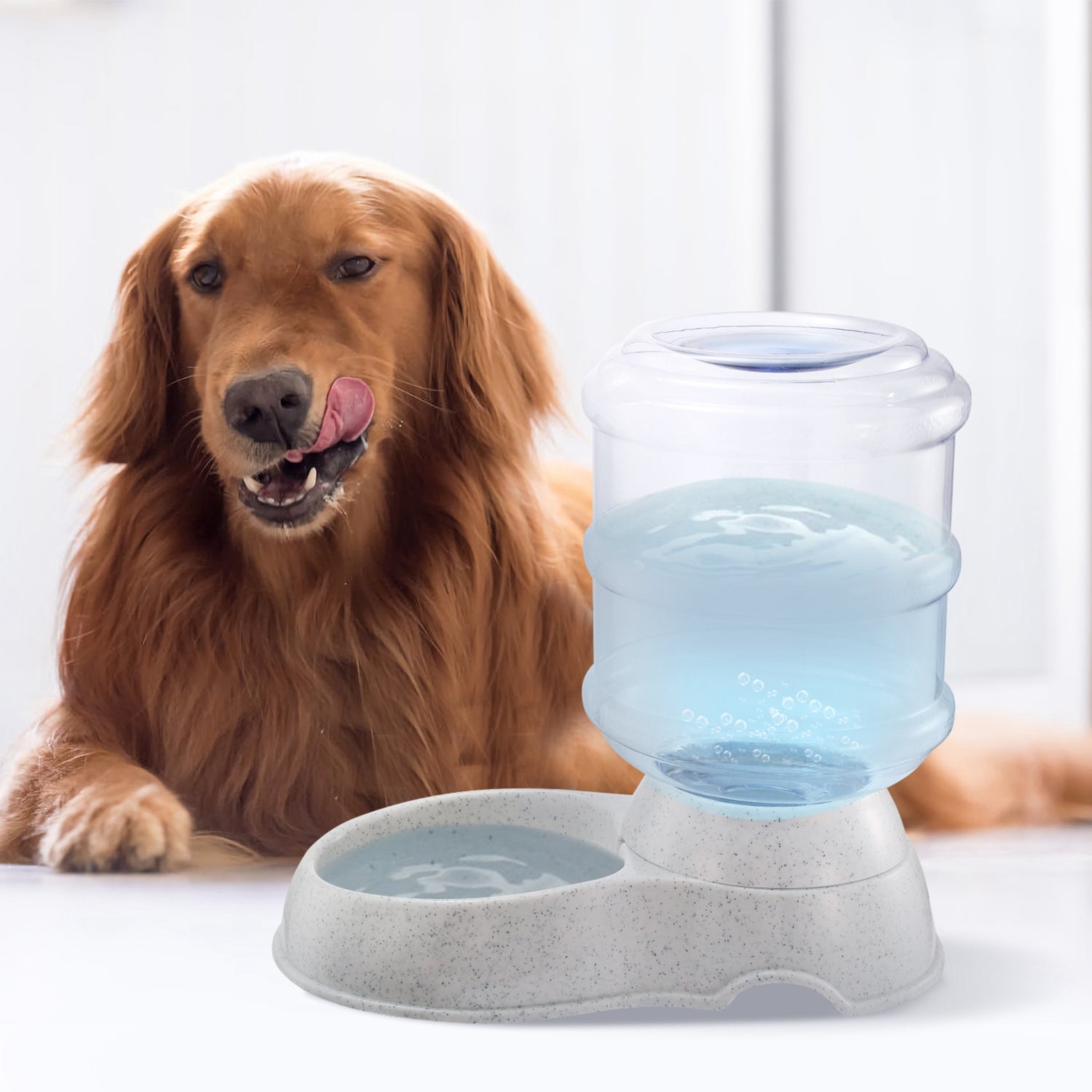 Dog drinking water from a pet water fountain with a white background