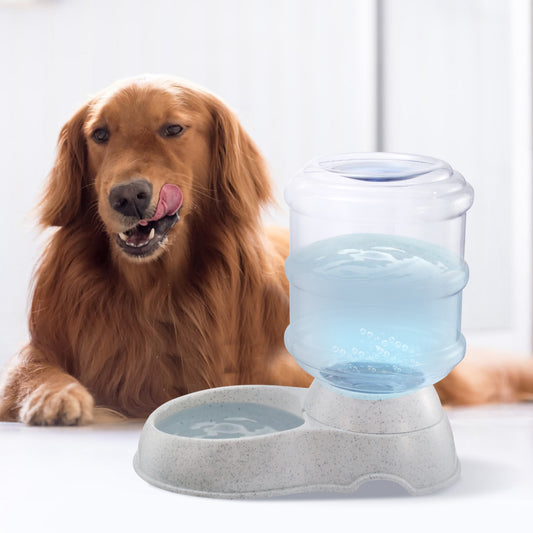 Dog drinking water from a pet water fountain with a white background