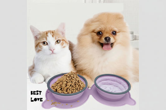 Cat and dog with purple pet bowls containing food and water on a white background