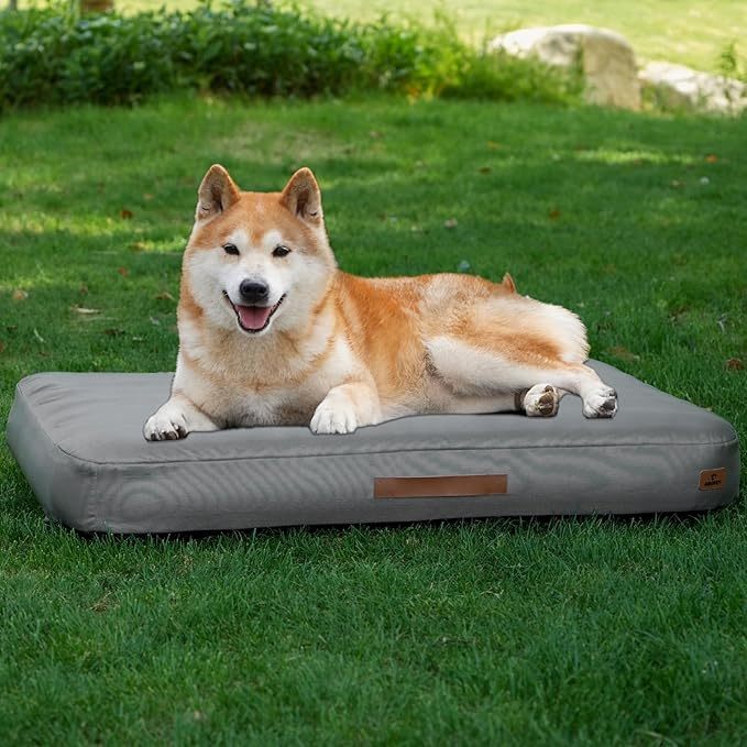 Dog lying on a gray dog bed in a grassy outdoor setting