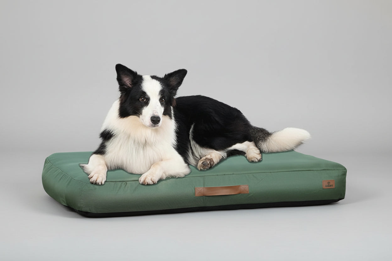 Dog lying on a green dog bed in a grassy outdoor setting