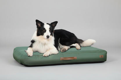 Dog lying on a green dog bed in a grassy outdoor setting
