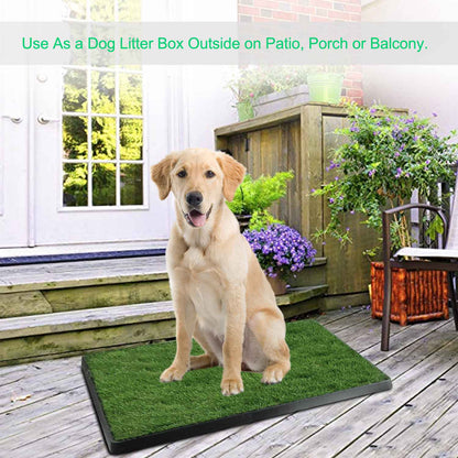 Dog sitting on a grass-patterned mat outdoors with text indicating its use as a dog litter box.