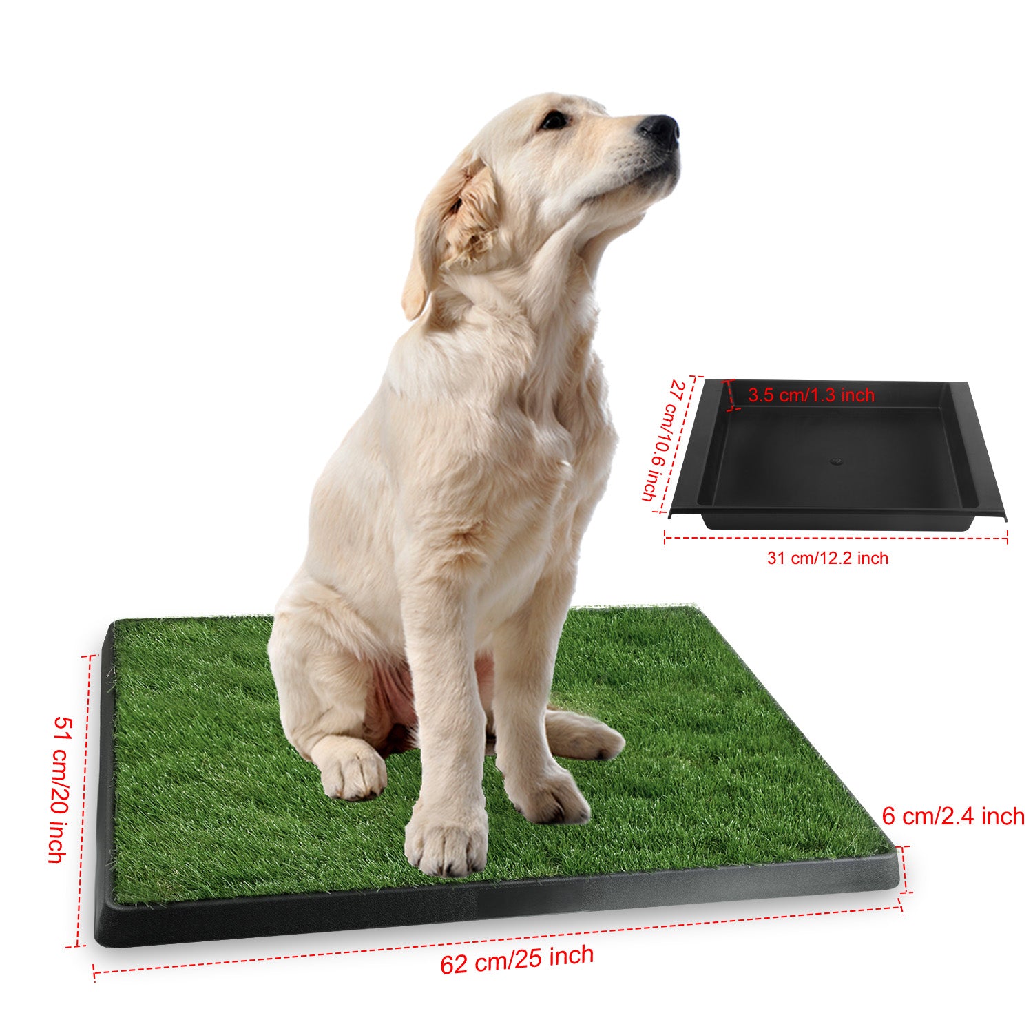 Dog sitting on a green artificial grass pad with measurements indicated