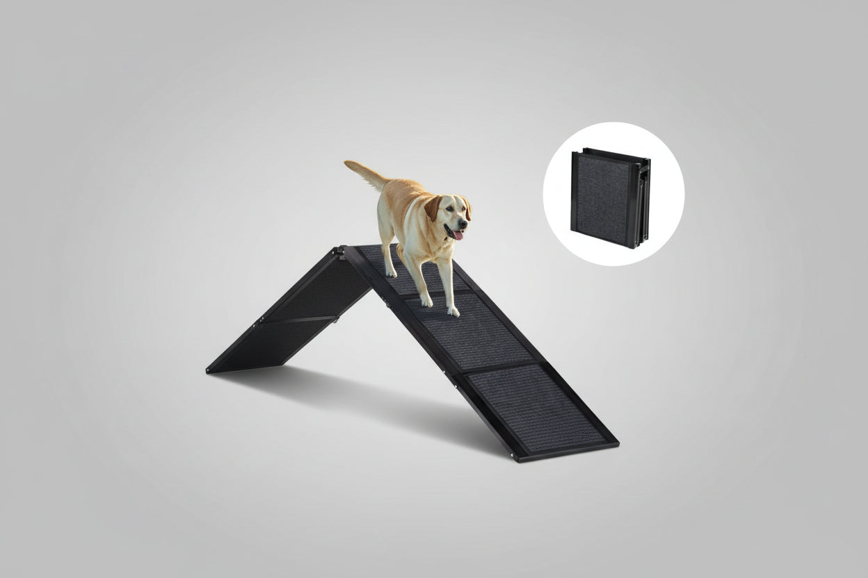 Dog using a pet ramp to get into an open car trunk in a grassy area.